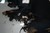 Offspring H